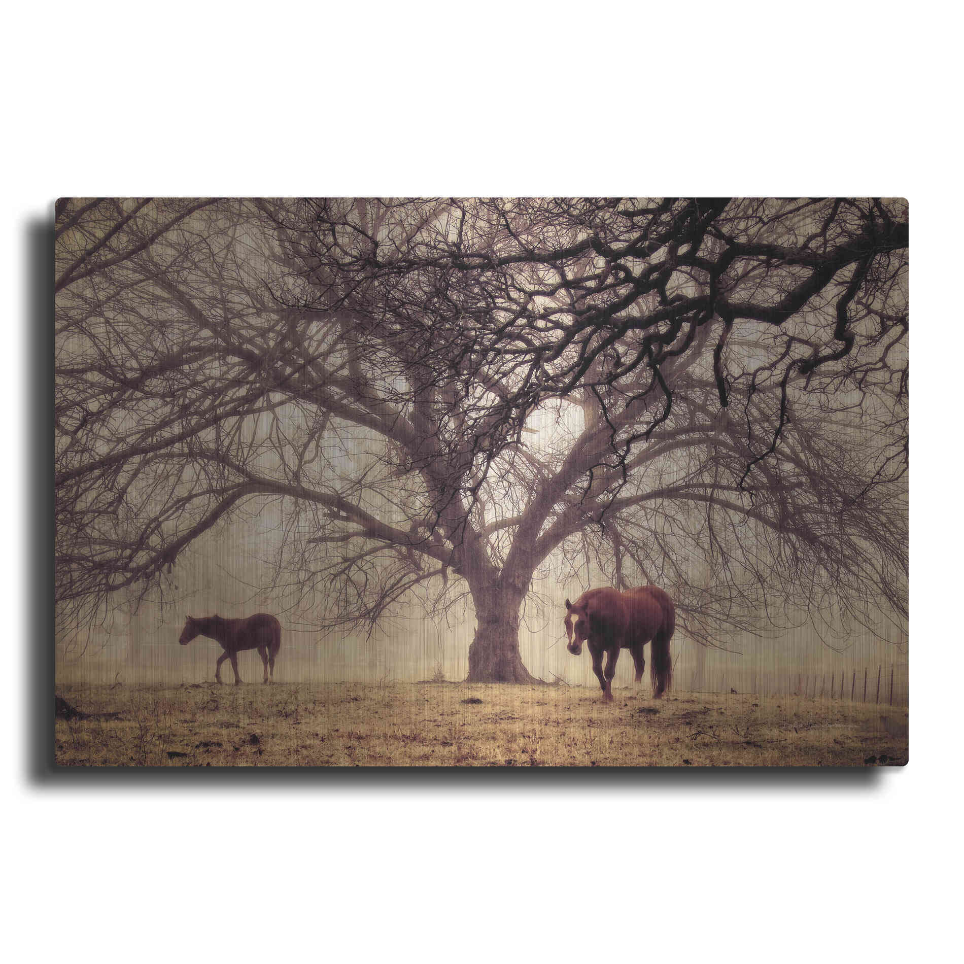 Luxe Metal Art 'Morning Calm II' by Debra Van Swearingen, Metal Wall Art