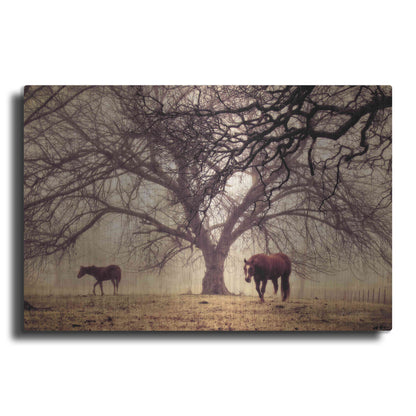 Luxe Metal Art 'Morning Calm II' by Debra Van Swearingen, Metal Wall Art