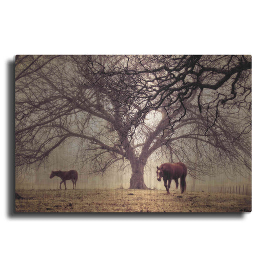 Luxe Metal Art 'Morning Calm II' by Debra Van Swearingen, Metal Wall Art