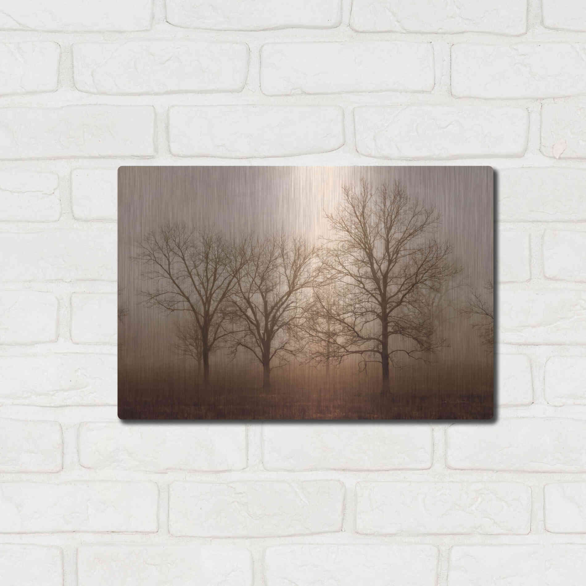 Luxe Metal Art 'Morning Calm III' by Debra Van Swearingen, Metal Wall Art,16x12