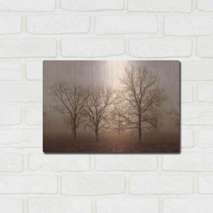 Luxe Metal Art 'Morning Calm III' by Debra Van Swearingen, Metal Wall Art,16x12