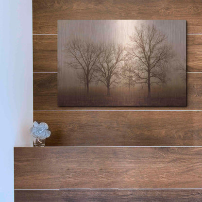 Luxe Metal Art 'Morning Calm III' by Debra Van Swearingen, Metal Wall Art,16x12