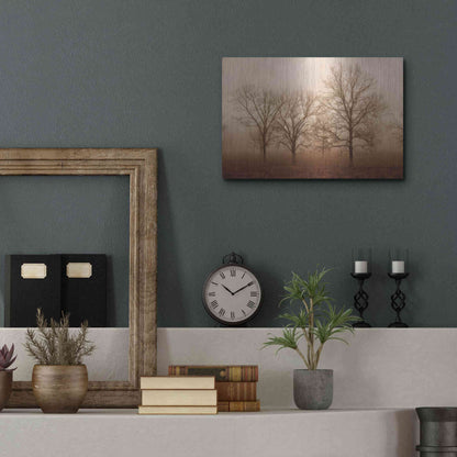 Luxe Metal Art 'Morning Calm III' by Debra Van Swearingen, Metal Wall Art,16x12
