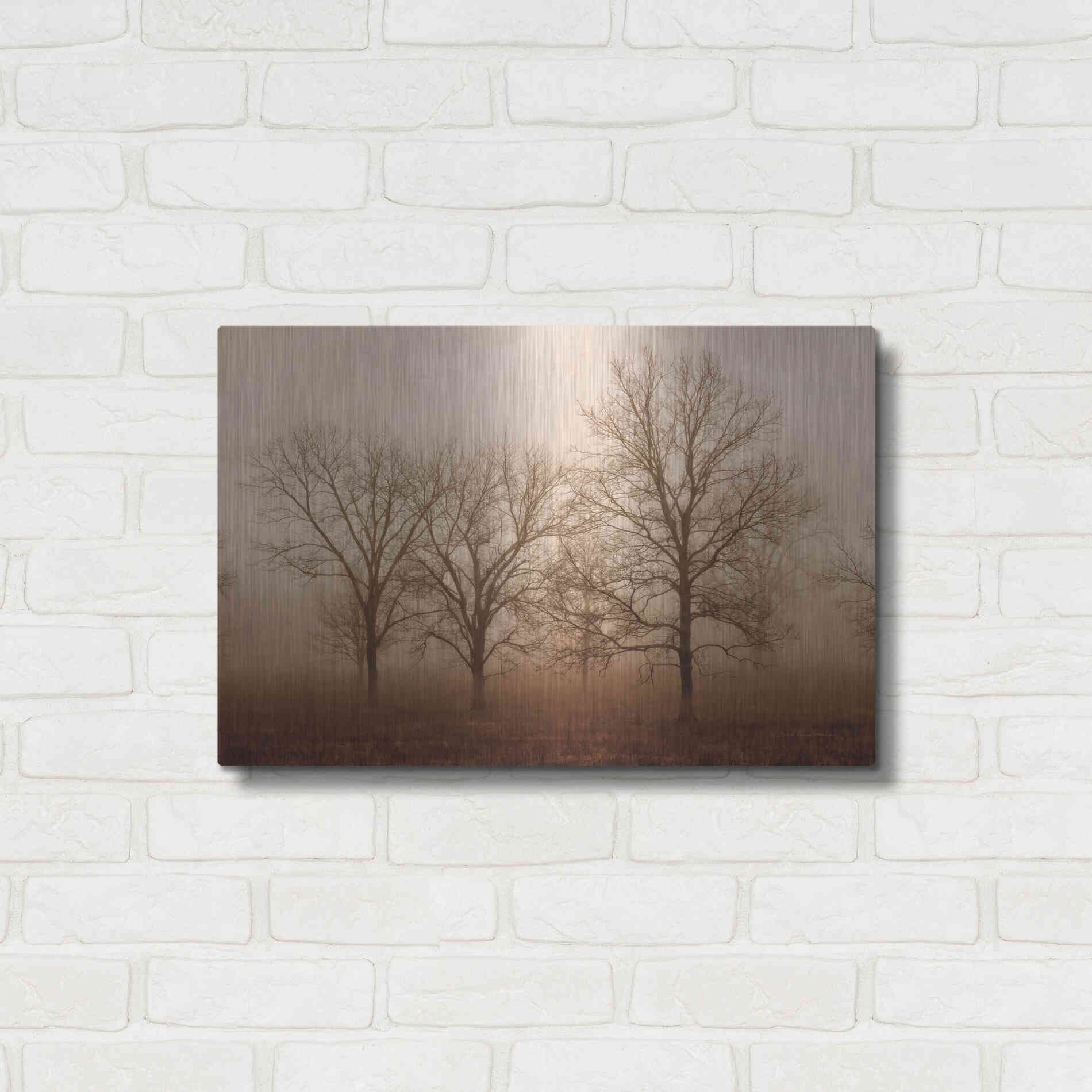 Luxe Metal Art 'Morning Calm III' by Debra Van Swearingen, Metal Wall Art,24x16
