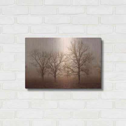 Luxe Metal Art 'Morning Calm III' by Debra Van Swearingen, Metal Wall Art,24x16