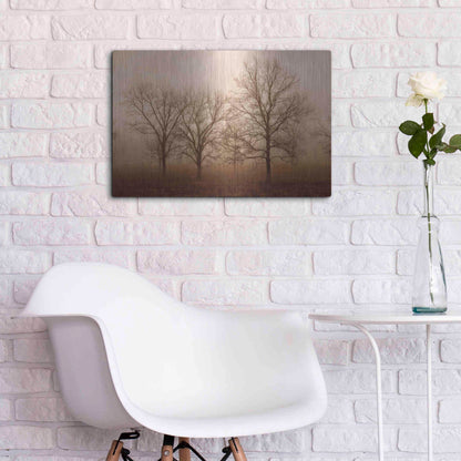 Luxe Metal Art 'Morning Calm III' by Debra Van Swearingen, Metal Wall Art,24x16