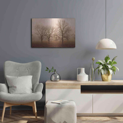 Luxe Metal Art 'Morning Calm III' by Debra Van Swearingen, Metal Wall Art,24x16