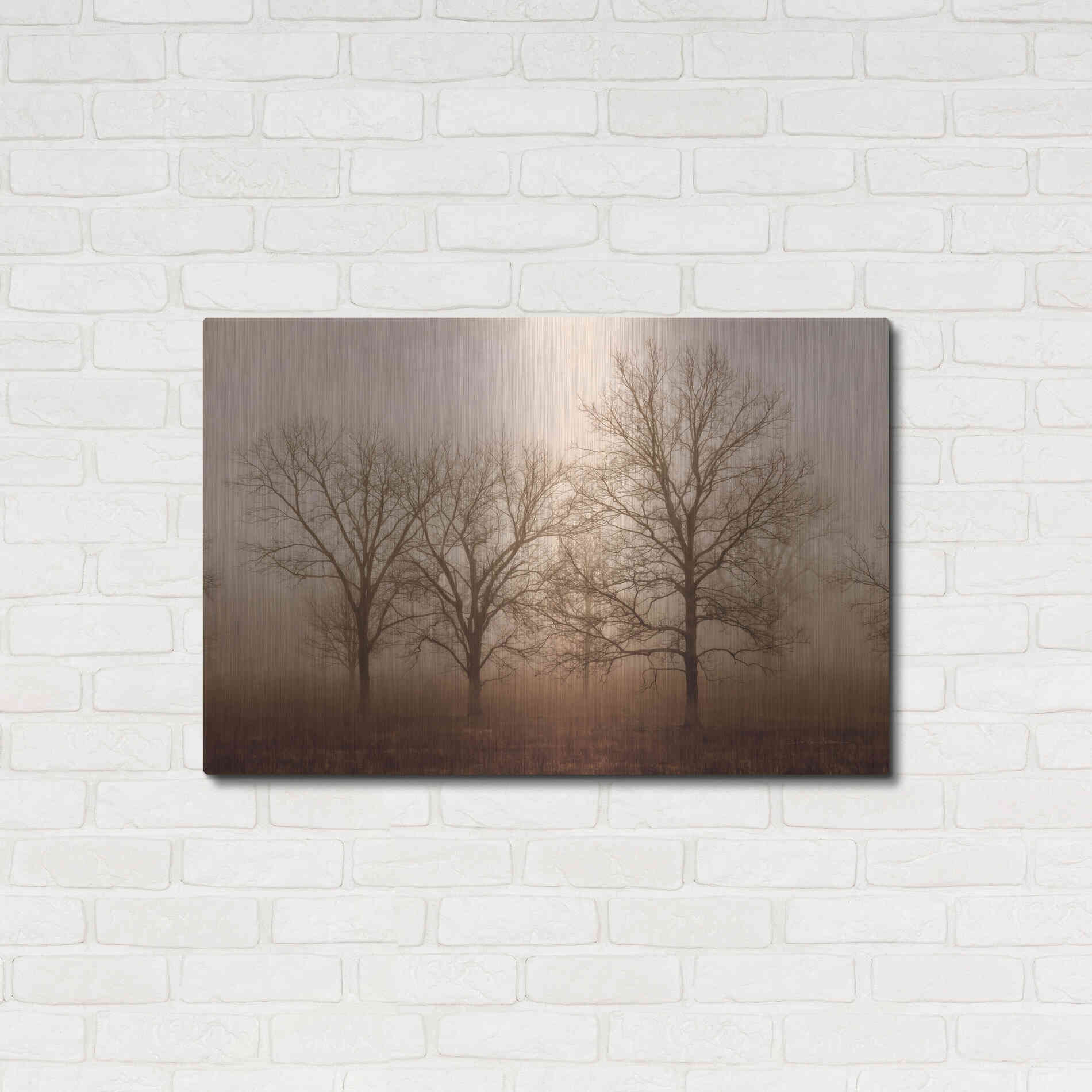 Luxe Metal Art 'Morning Calm III' by Debra Van Swearingen, Metal Wall Art,36x24