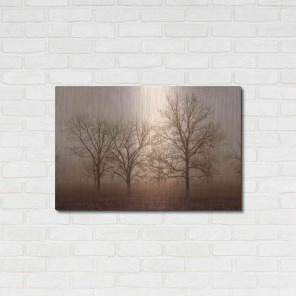 Luxe Metal Art 'Morning Calm III' by Debra Van Swearingen, Metal Wall Art,36x24