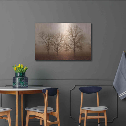 Luxe Metal Art 'Morning Calm III' by Debra Van Swearingen, Metal Wall Art,36x24