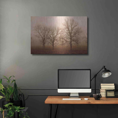 Luxe Metal Art 'Morning Calm III' by Debra Van Swearingen, Metal Wall Art,36x24