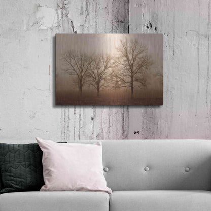 Luxe Metal Art 'Morning Calm III' by Debra Van Swearingen, Metal Wall Art,36x24