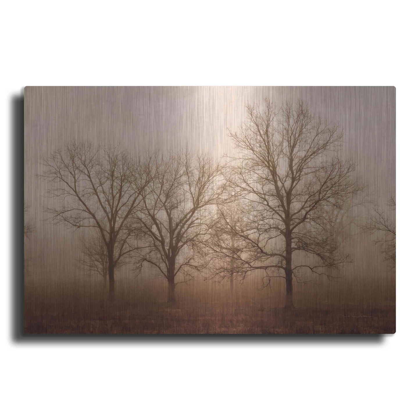 Luxe Metal Art 'Morning Calm III' by Debra Van Swearingen, Metal Wall Art