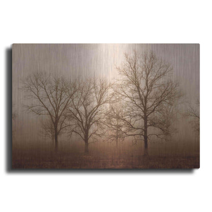 Luxe Metal Art 'Morning Calm III' by Debra Van Swearingen, Metal Wall Art