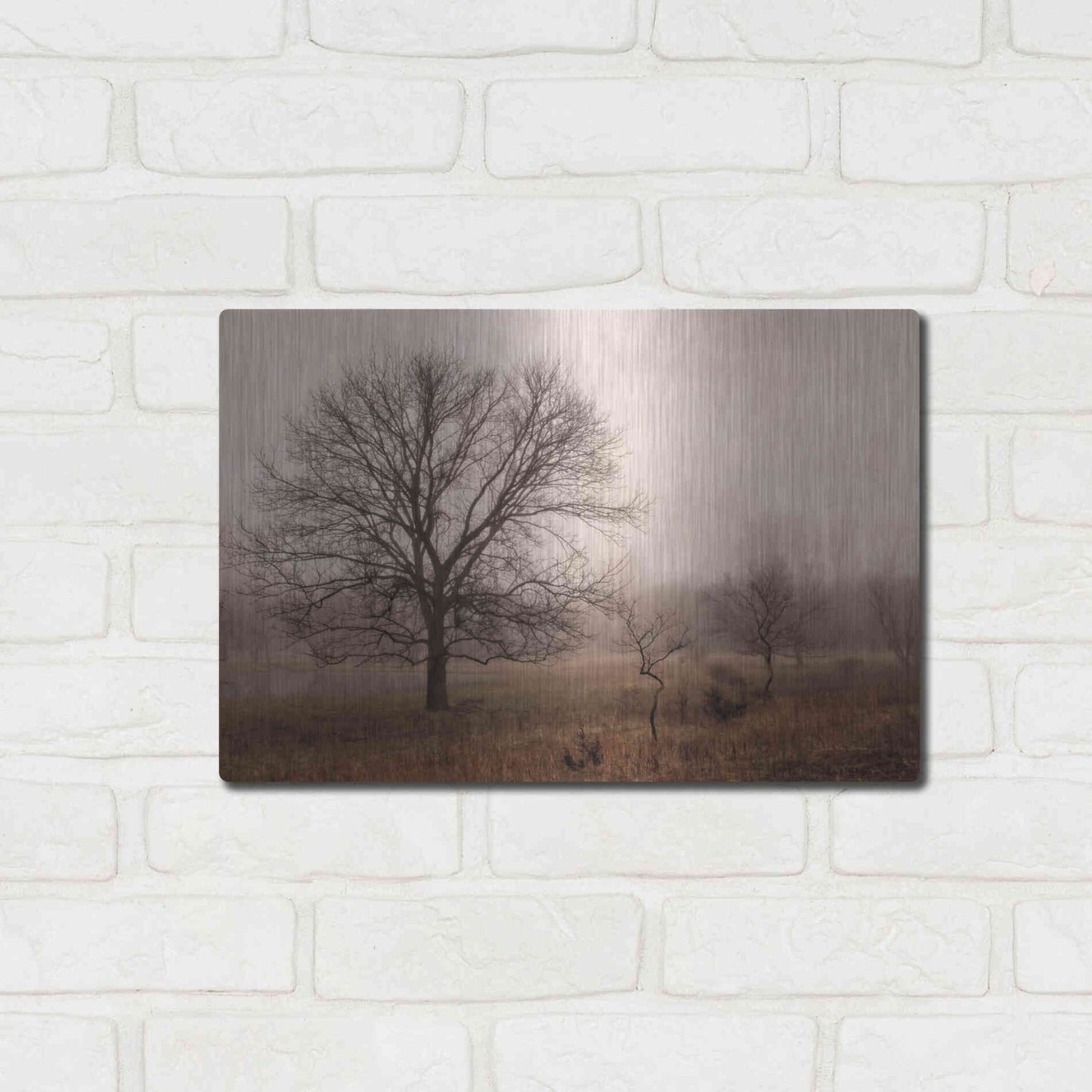 Luxe Metal Art 'Morning Calm IV' by Debra Van Swearingen, Metal Wall Art,16x12