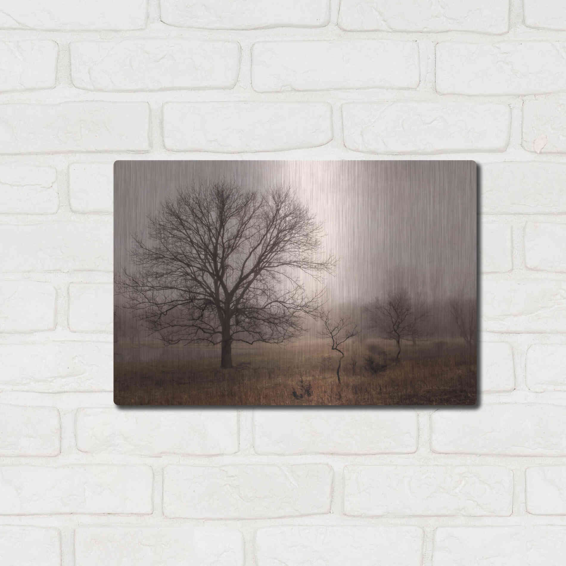 Luxe Metal Art 'Morning Calm IV' by Debra Van Swearingen, Metal Wall Art,16x12