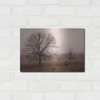 Luxe Metal Art 'Morning Calm IV' by Debra Van Swearingen, Metal Wall Art,16x12