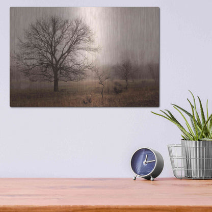 Luxe Metal Art 'Morning Calm IV' by Debra Van Swearingen, Metal Wall Art,16x12