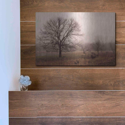 Luxe Metal Art 'Morning Calm IV' by Debra Van Swearingen, Metal Wall Art,16x12