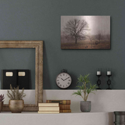Luxe Metal Art 'Morning Calm IV' by Debra Van Swearingen, Metal Wall Art,16x12