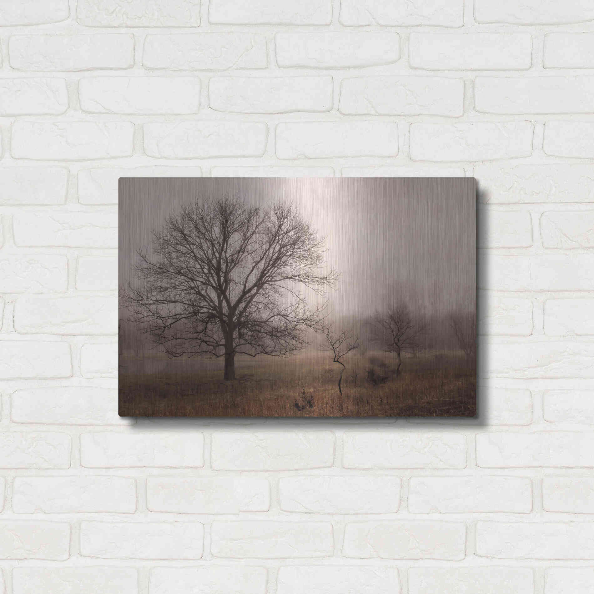 Luxe Metal Art 'Morning Calm IV' by Debra Van Swearingen, Metal Wall Art,24x16