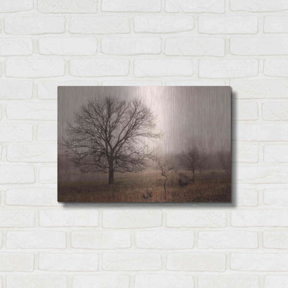 Luxe Metal Art 'Morning Calm IV' by Debra Van Swearingen, Metal Wall Art,24x16