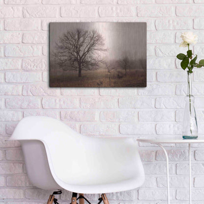 Luxe Metal Art 'Morning Calm IV' by Debra Van Swearingen, Metal Wall Art,24x16