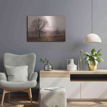 Luxe Metal Art 'Morning Calm IV' by Debra Van Swearingen, Metal Wall Art,24x16