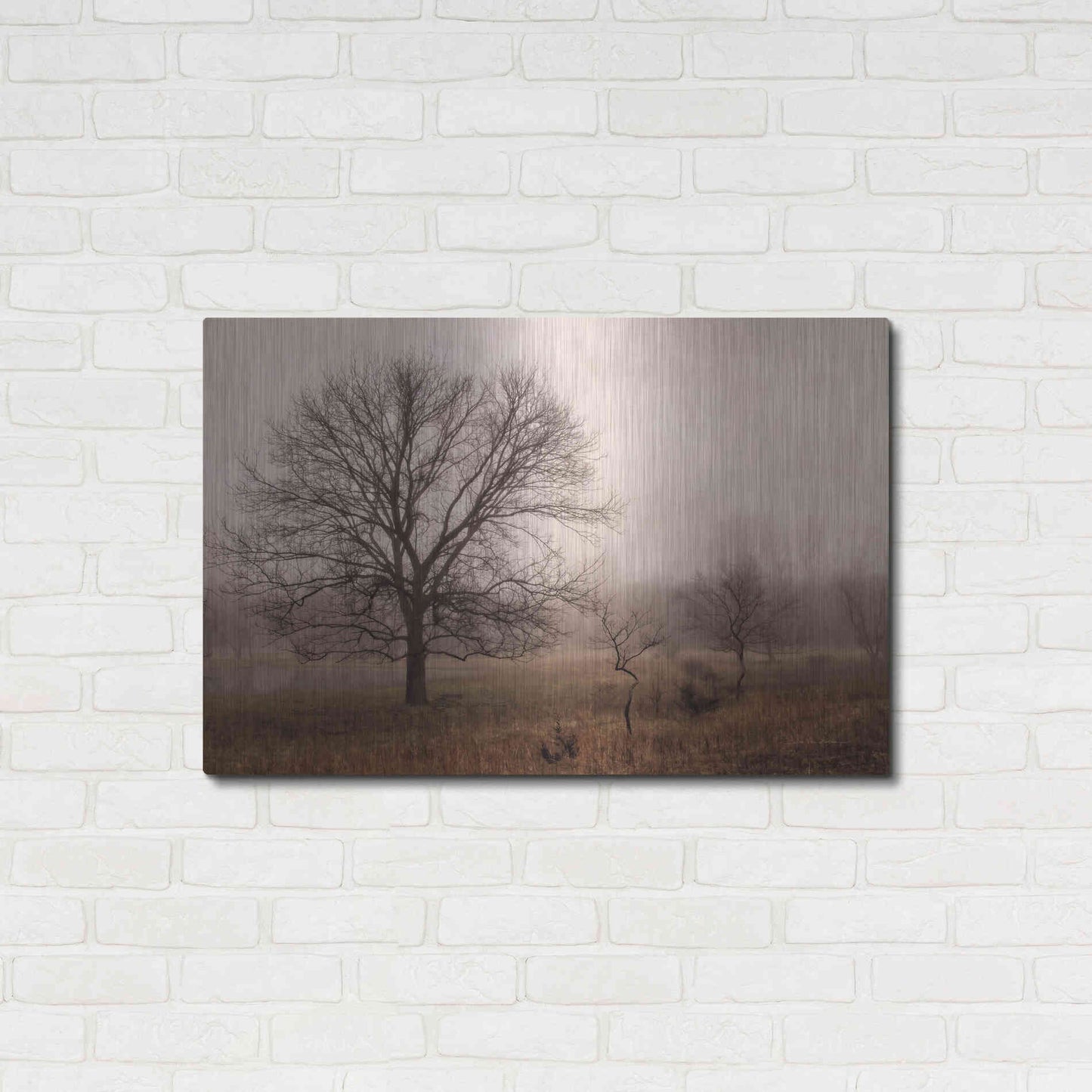 Luxe Metal Art 'Morning Calm IV' by Debra Van Swearingen, Metal Wall Art,36x24