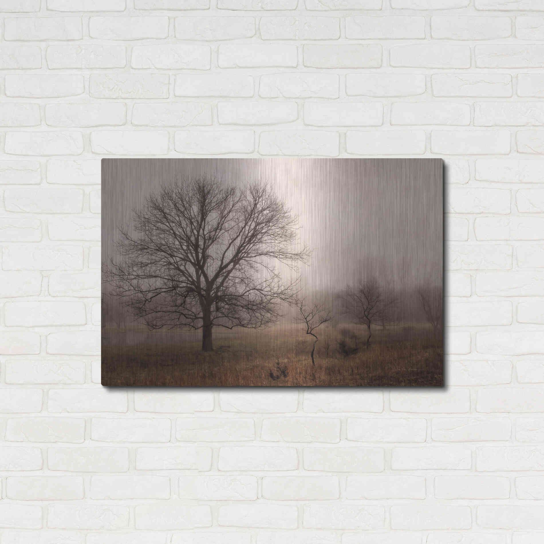 Luxe Metal Art 'Morning Calm IV' by Debra Van Swearingen, Metal Wall Art,36x24
