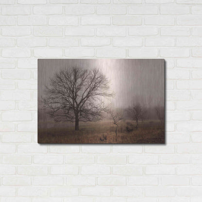 Luxe Metal Art 'Morning Calm IV' by Debra Van Swearingen, Metal Wall Art,36x24