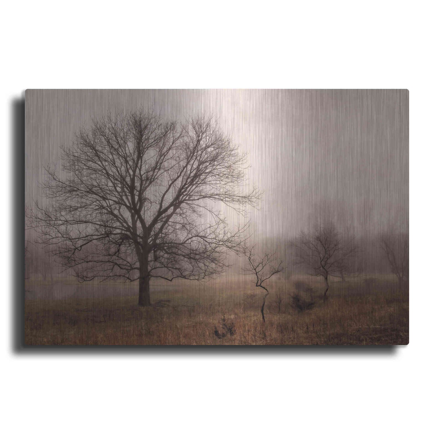 Luxe Metal Art 'Morning Calm IV' by Debra Van Swearingen, Metal Wall Art