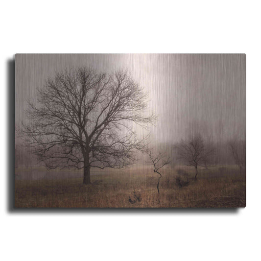 Luxe Metal Art 'Morning Calm IV' by Debra Van Swearingen, Metal Wall Art