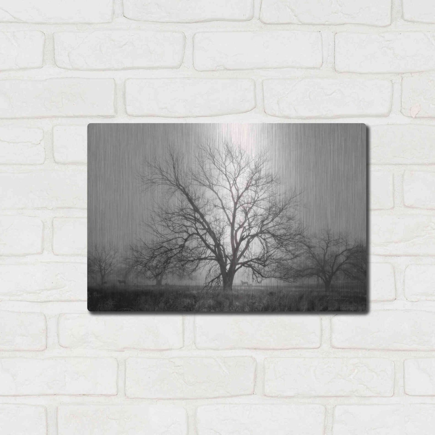 Luxe Metal Art 'Morning Calm I BW' by Debra Van Swearingen, Metal Wall Art,16x12