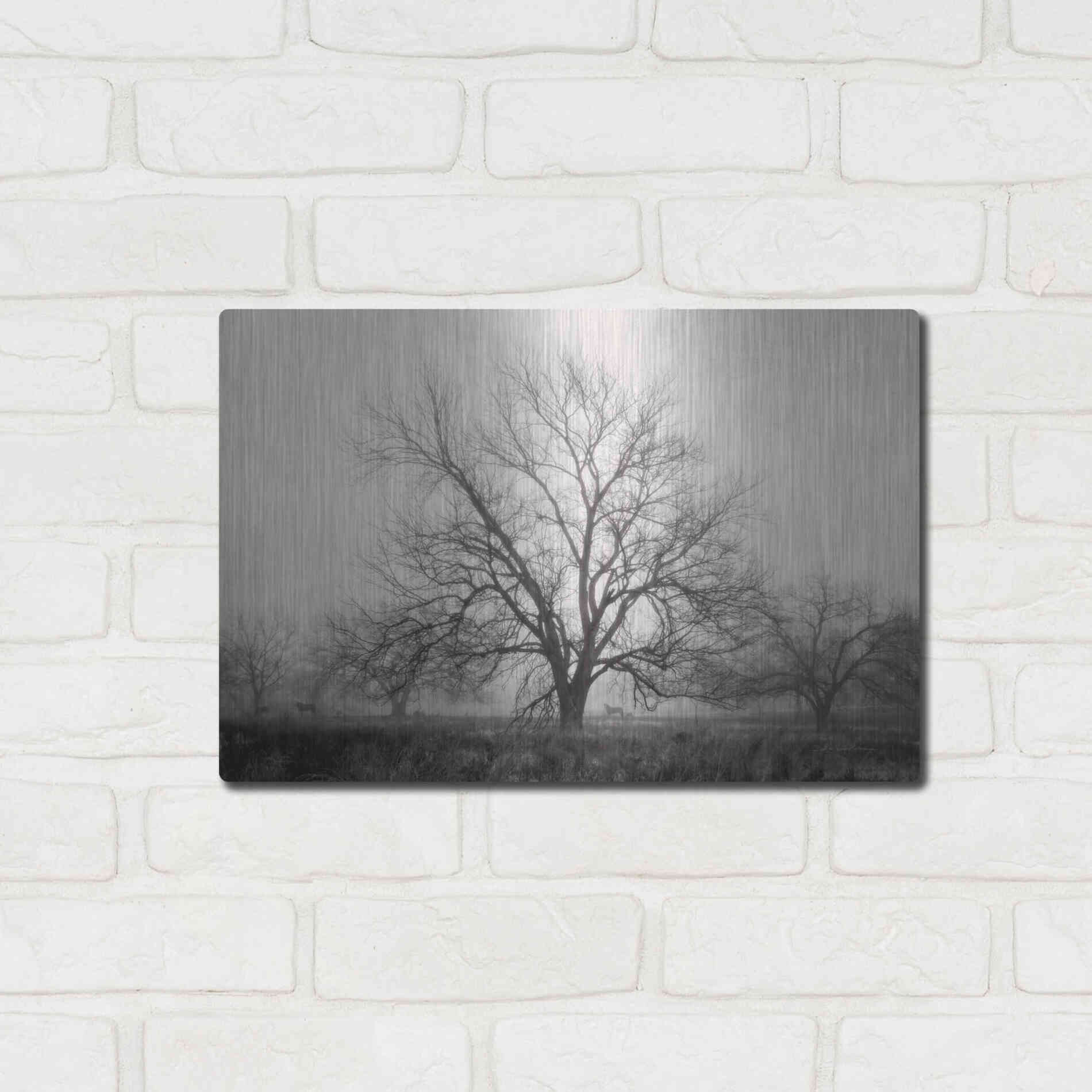 Luxe Metal Art 'Morning Calm I BW' by Debra Van Swearingen, Metal Wall Art,16x12