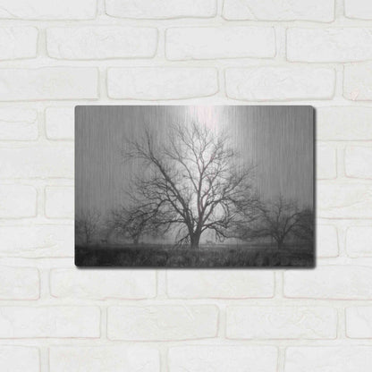 Luxe Metal Art 'Morning Calm I BW' by Debra Van Swearingen, Metal Wall Art,16x12