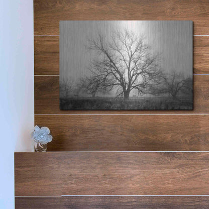 Luxe Metal Art 'Morning Calm I BW' by Debra Van Swearingen, Metal Wall Art,16x12