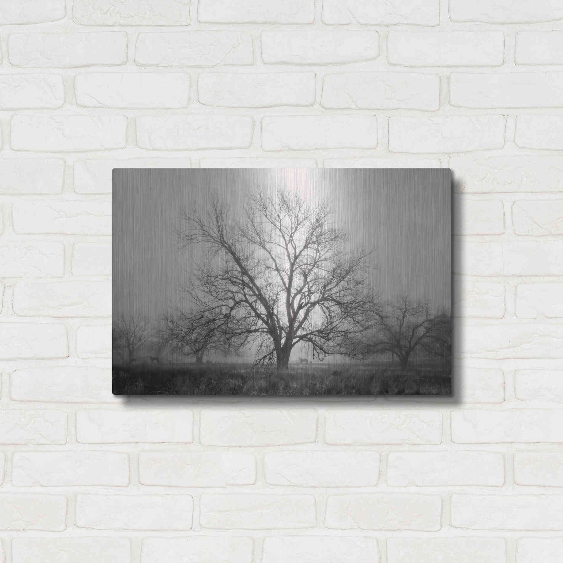 Luxe Metal Art 'Morning Calm I BW' by Debra Van Swearingen, Metal Wall Art,24x16
