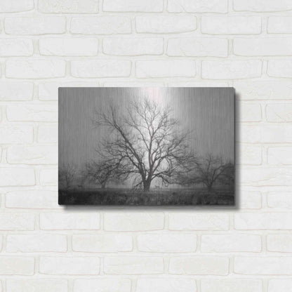 Luxe Metal Art 'Morning Calm I BW' by Debra Van Swearingen, Metal Wall Art,24x16