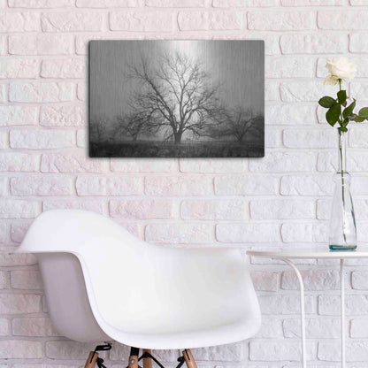 Luxe Metal Art 'Morning Calm I BW' by Debra Van Swearingen, Metal Wall Art,24x16