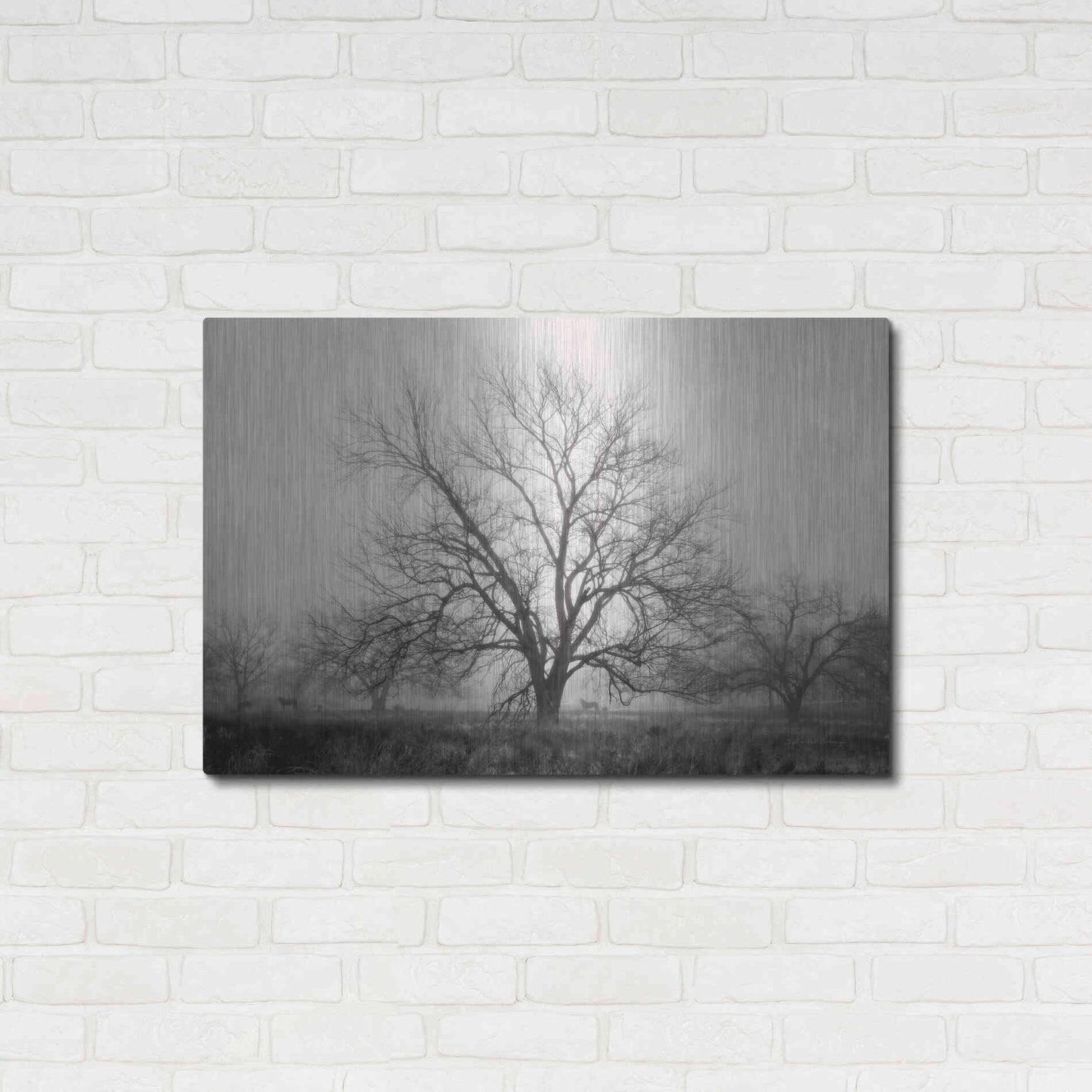 Luxe Metal Art 'Morning Calm I BW' by Debra Van Swearingen, Metal Wall Art,36x24