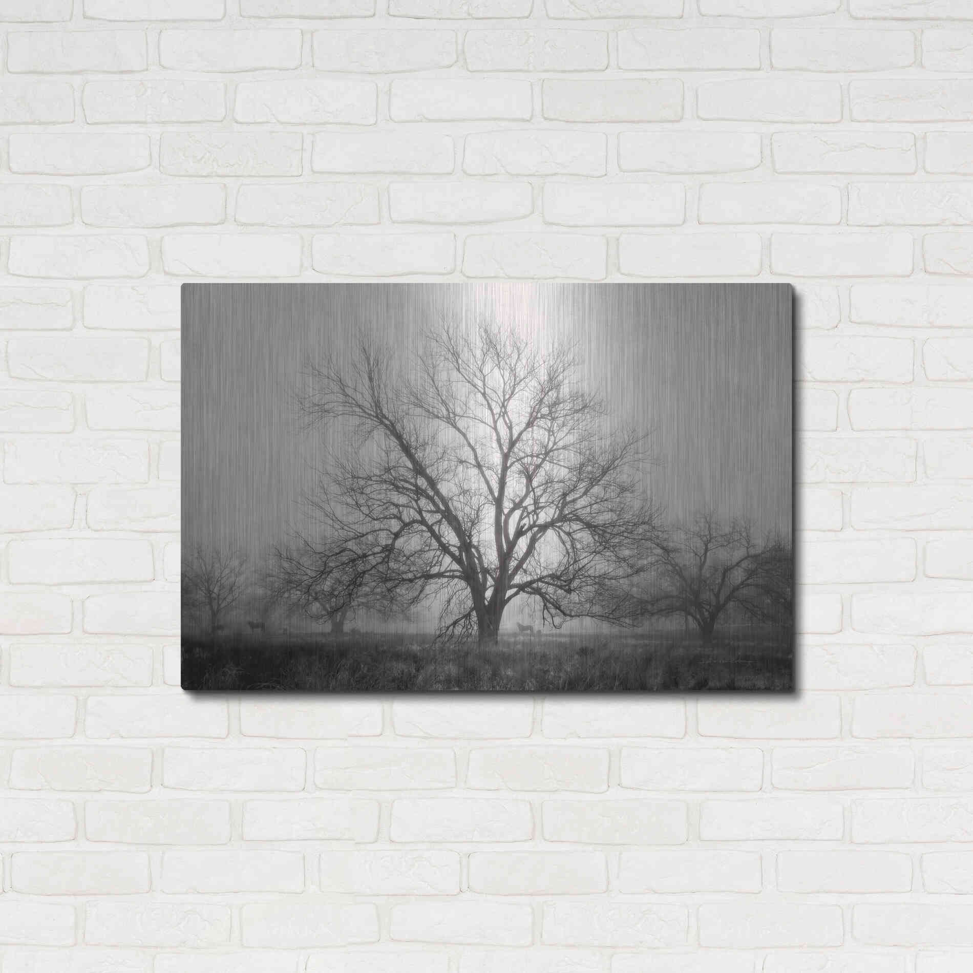 Luxe Metal Art 'Morning Calm I BW' by Debra Van Swearingen, Metal Wall Art,36x24