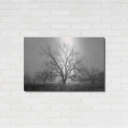 Luxe Metal Art 'Morning Calm I BW' by Debra Van Swearingen, Metal Wall Art,36x24