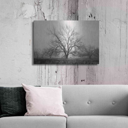 Luxe Metal Art 'Morning Calm I BW' by Debra Van Swearingen, Metal Wall Art,36x24