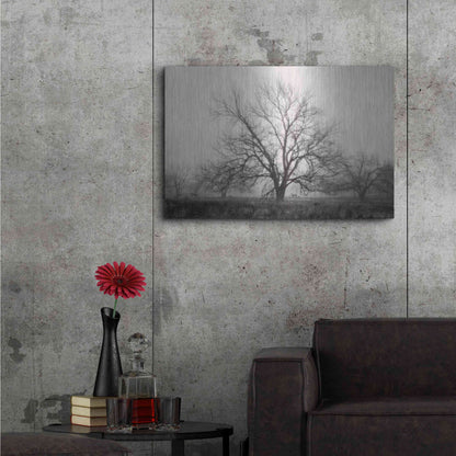 Luxe Metal Art 'Morning Calm I BW' by Debra Van Swearingen, Metal Wall Art,36x24