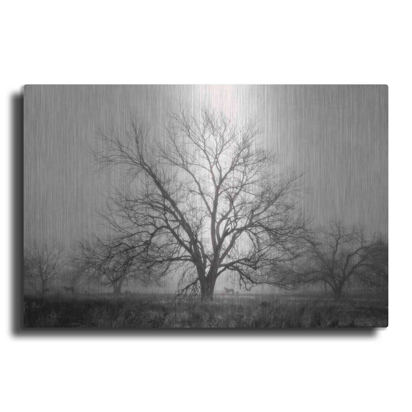 Luxe Metal Art 'Morning Calm I BW' by Debra Van Swearingen, Metal Wall Art