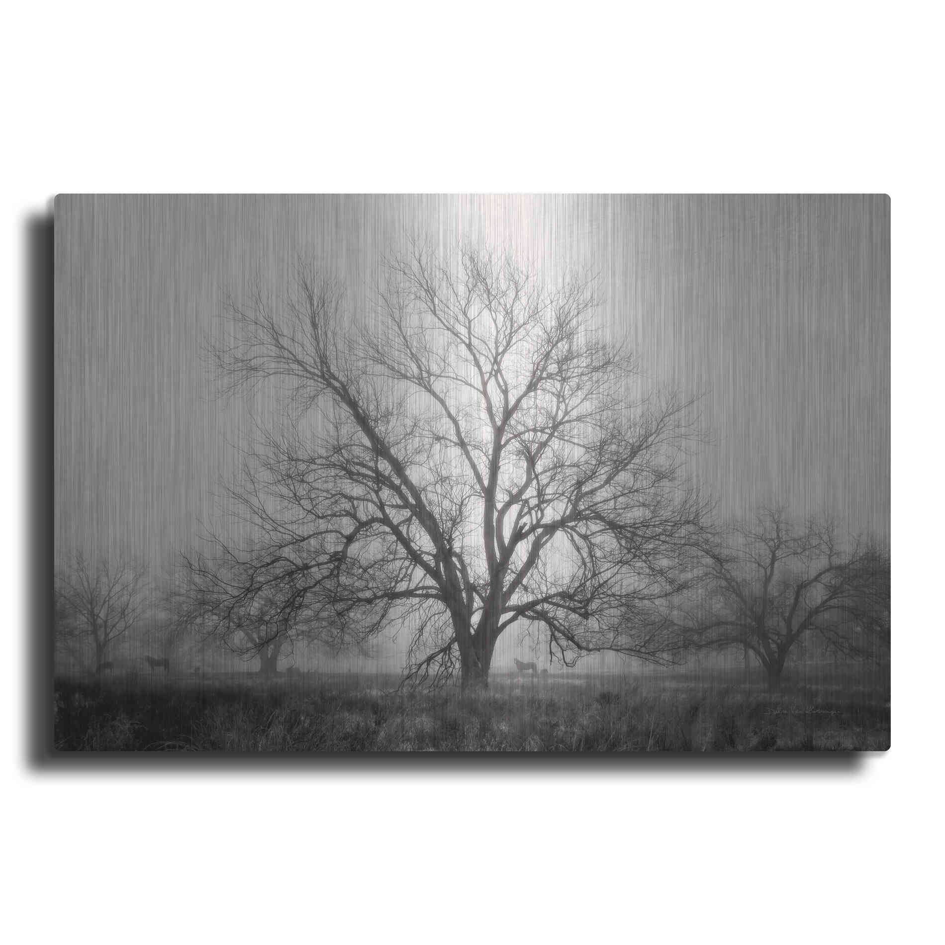 Luxe Metal Art 'Morning Calm I BW' by Debra Van Swearingen, Metal Wall Art