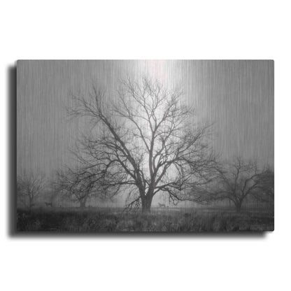 Luxe Metal Art 'Morning Calm I BW' by Debra Van Swearingen, Metal Wall Art