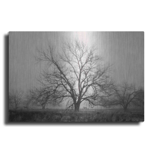 Luxe Metal Art 'Morning Calm I BW' by Debra Van Swearingen, Metal Wall Art