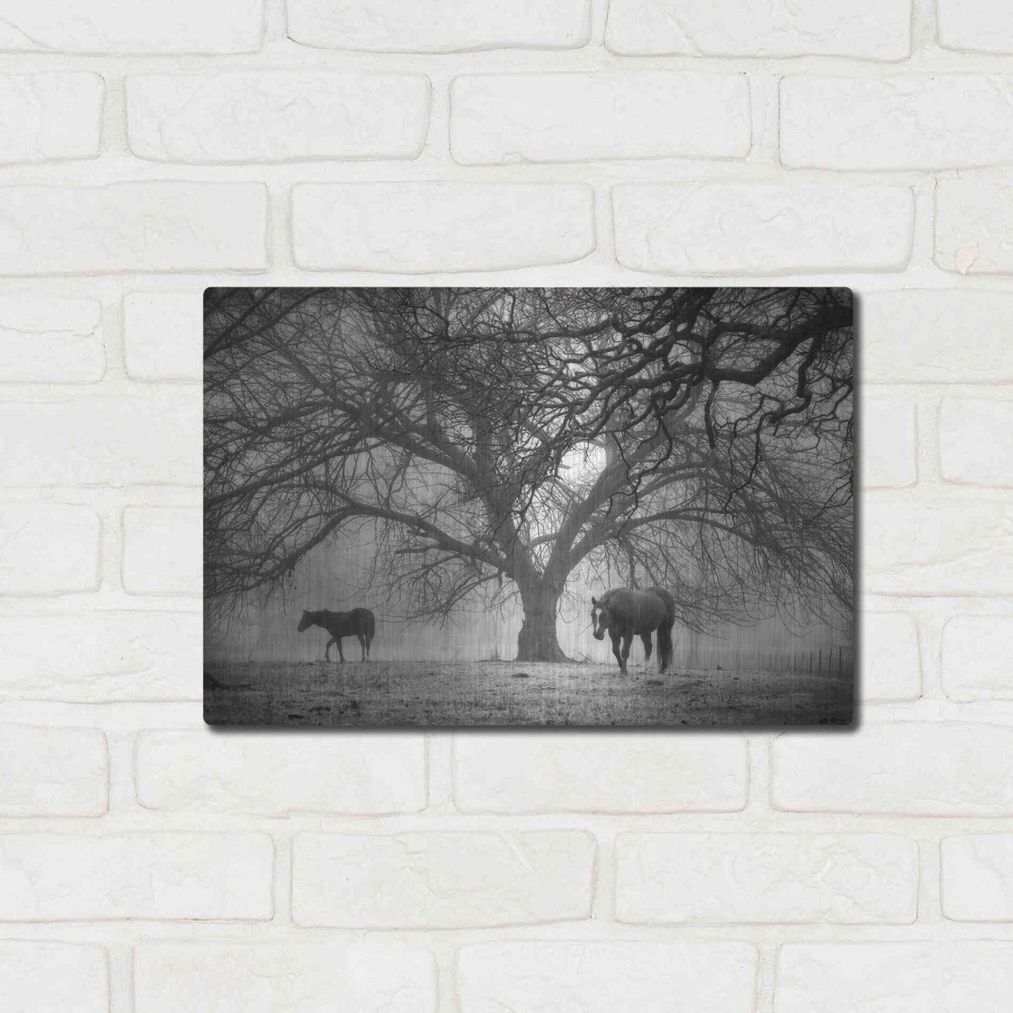 Luxe Metal Art 'Morning Calm II BW' by Debra Van Swearingen, Metal Wall Art,16x12